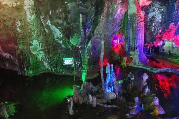宣布灭绝的生物出现了，野生华南虎会被重新发现吗？游戏画面